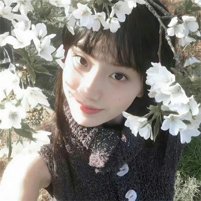 星梦手记